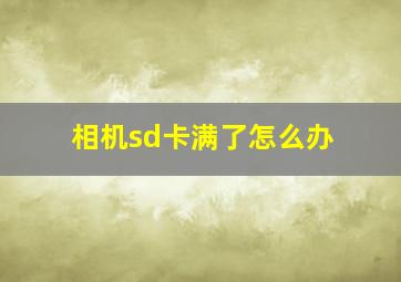 相机sd卡满了怎么办