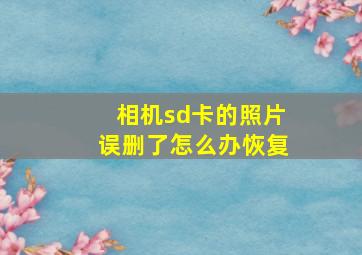 相机sd卡的照片误删了怎么办恢复