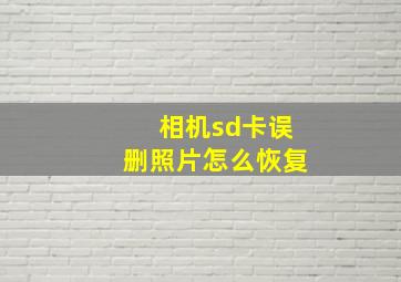 相机sd卡误删照片怎么恢复