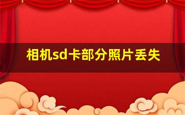 相机sd卡部分照片丢失