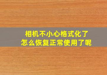 相机不小心格式化了怎么恢复正常使用了呢