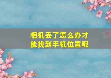 相机丢了怎么办才能找到手机位置呢