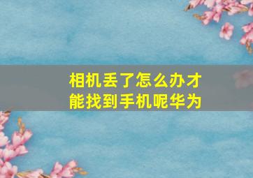 相机丢了怎么办才能找到手机呢华为