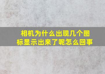 相机为什么出现几个图标显示出来了呢怎么回事