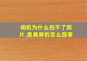 相机为什么拍不了照片,是黑屏的怎么回事