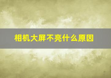 相机大屏不亮什么原因