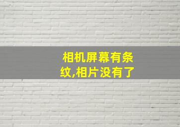 相机屏幕有条纹,相片没有了