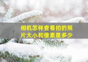 相机怎样查看拍的照片大小和像素是多少