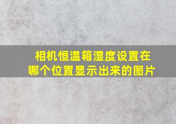 相机恒温箱湿度设置在哪个位置显示出来的图片