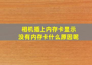 相机插上内存卡显示没有内存卡什么原因呢