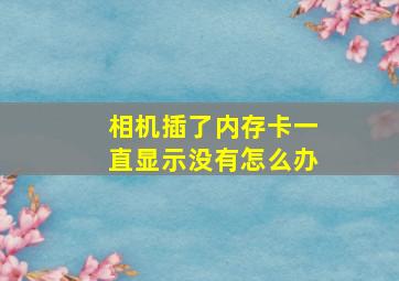 相机插了内存卡一直显示没有怎么办