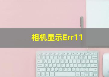 相机显示Err11