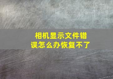 相机显示文件错误怎么办恢复不了