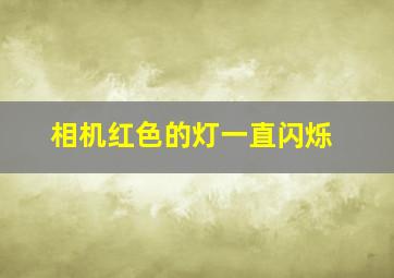 相机红色的灯一直闪烁