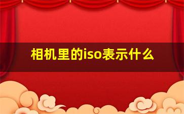 相机里的iso表示什么