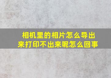 相机里的相片怎么导出来打印不出来呢怎么回事