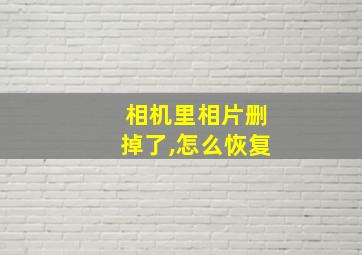 相机里相片删掉了,怎么恢复