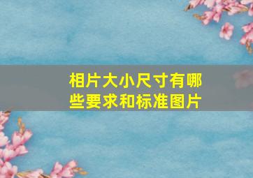 相片大小尺寸有哪些要求和标准图片