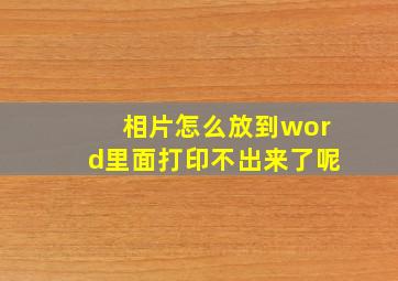 相片怎么放到word里面打印不出来了呢