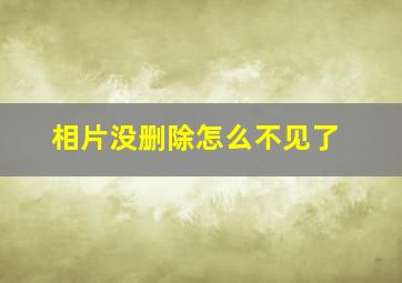 相片没删除怎么不见了