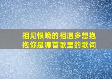 相见恨晚的相遇多想抱抱你是哪首歌里的歌词