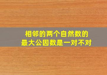 相邻的两个自然数的最大公因数是一对不对