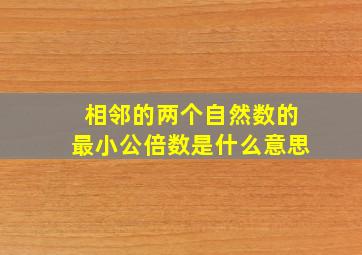 相邻的两个自然数的最小公倍数是什么意思