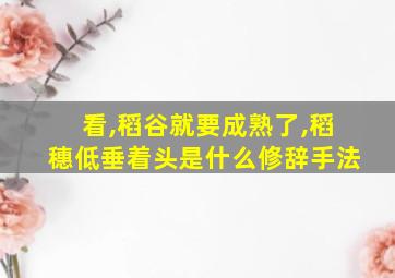 看,稻谷就要成熟了,稻穗低垂着头是什么修辞手法