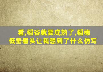 看,稻谷就要成熟了,稻穗低垂着头让我想到了什么仿写