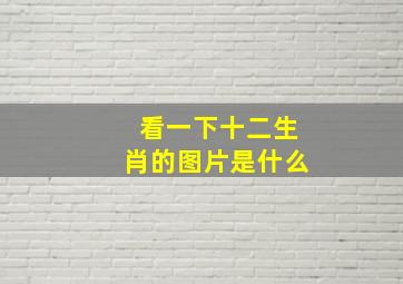 看一下十二生肖的图片是什么