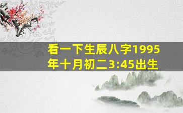 看一下生辰八字1995年十月初二3:45出生