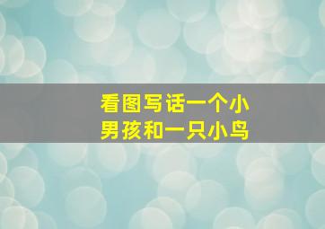 看图写话一个小男孩和一只小鸟