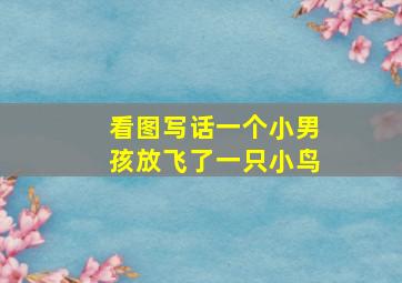 看图写话一个小男孩放飞了一只小鸟