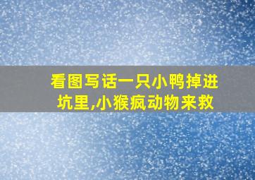 看图写话一只小鸭掉进坑里,小猴疯动物来救