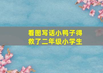 看图写话小鸭子得救了二年级小学生