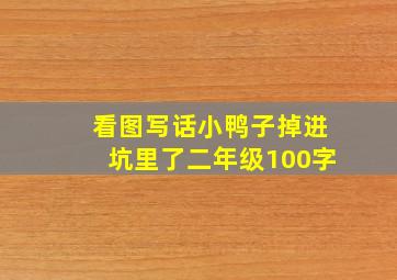 看图写话小鸭子掉进坑里了二年级100字