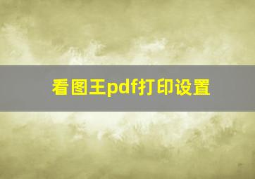 看图王pdf打印设置