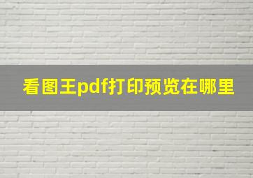 看图王pdf打印预览在哪里