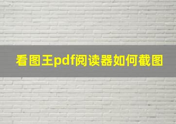 看图王pdf阅读器如何截图