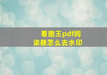 看图王pdf阅读器怎么去水印