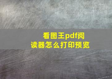 看图王pdf阅读器怎么打印预览