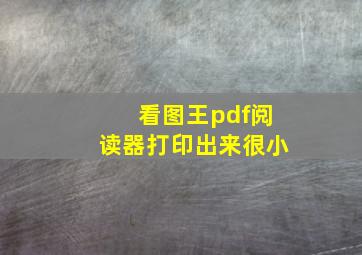 看图王pdf阅读器打印出来很小