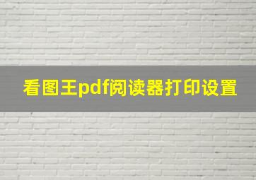 看图王pdf阅读器打印设置