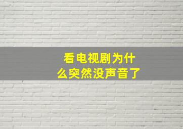 看电视剧为什么突然没声音了