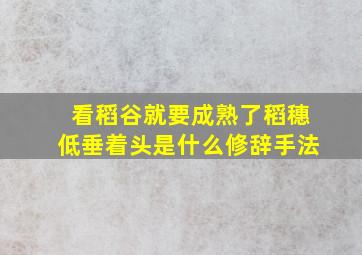 看稻谷就要成熟了稻穗低垂着头是什么修辞手法