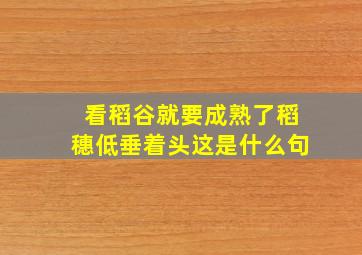 看稻谷就要成熟了稻穗低垂着头这是什么句