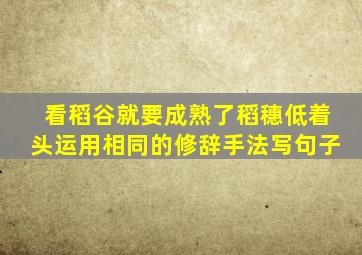 看稻谷就要成熟了稻穗低着头运用相同的修辞手法写句子