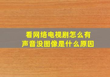 看网络电视剧怎么有声音没图像是什么原因