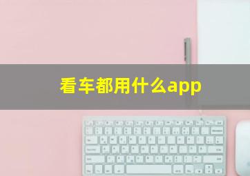 看车都用什么app