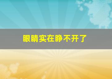 眼睛实在睁不开了